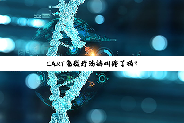 CART免疫疗法被叫停了吗?