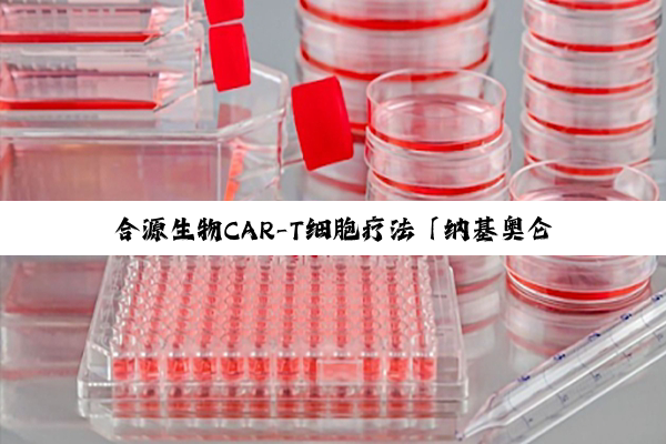 合源生物CAR-T细胞疗法「纳基奥仑赛」新适应症申报上市